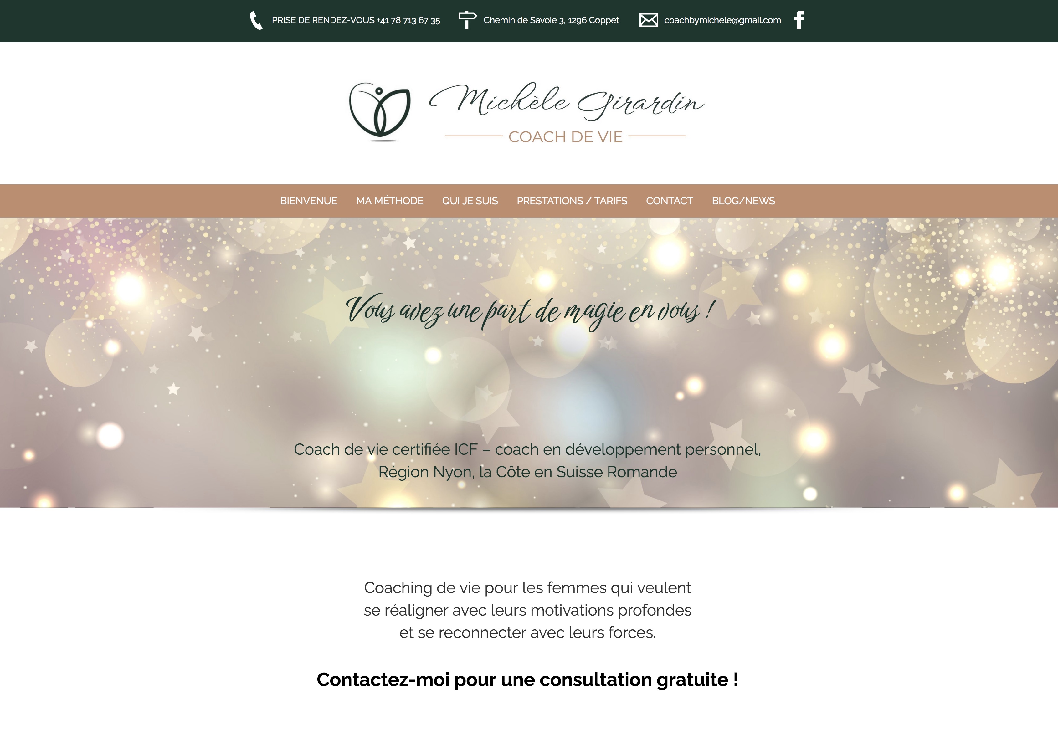 Création de site internet à Coppet
