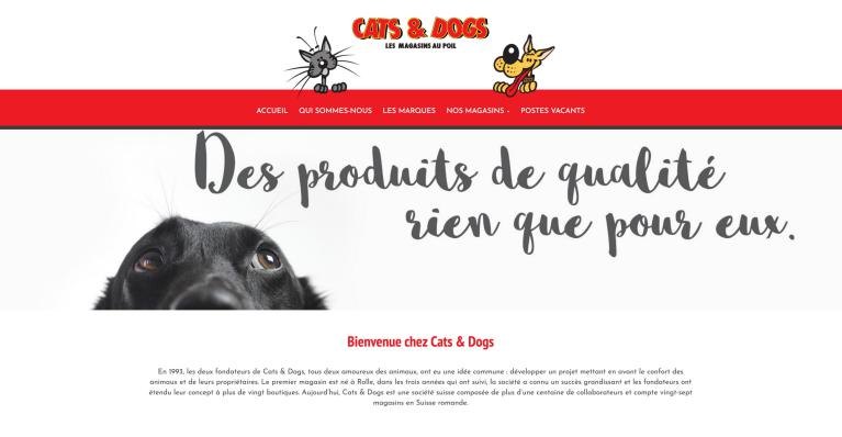 Création site internet Gland